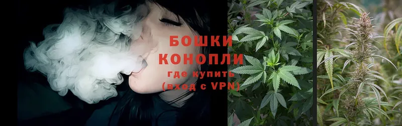 Бошки Шишки THC 21%  Сим 